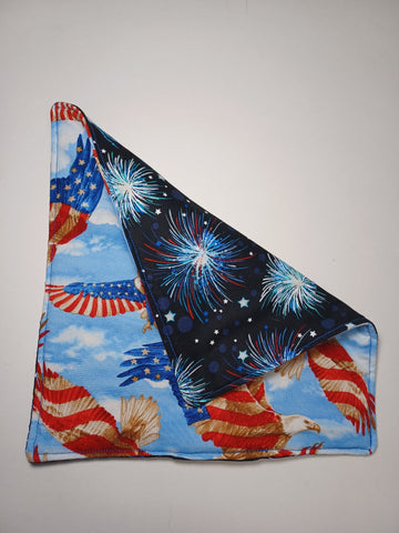 Hot Pad - Eagle and Fireworks