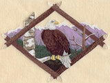 Bald Eagle Diamond