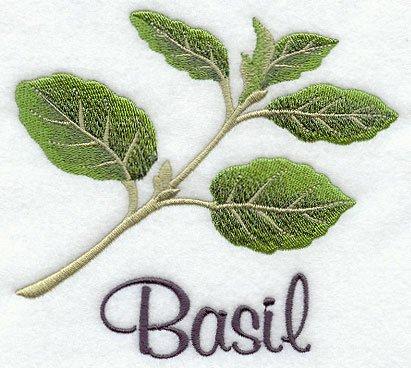 Basil