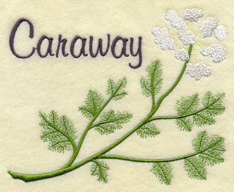 Caraway