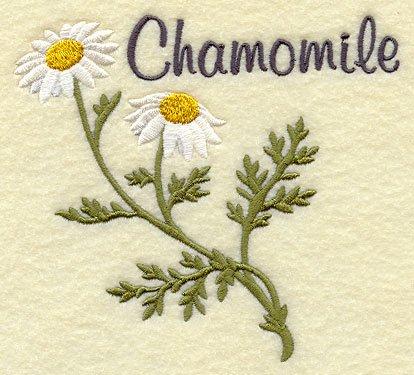 Chamomile