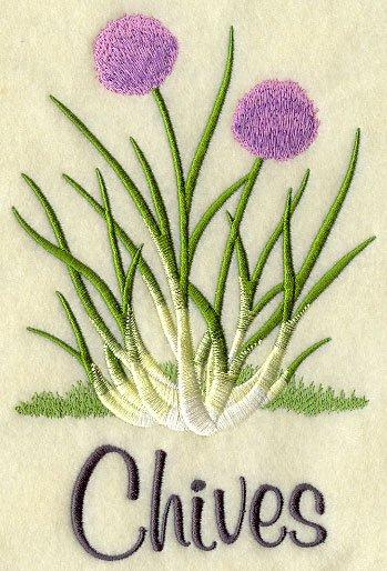 Chives