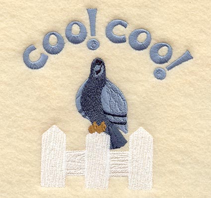 Coo! Coo! Pigeon