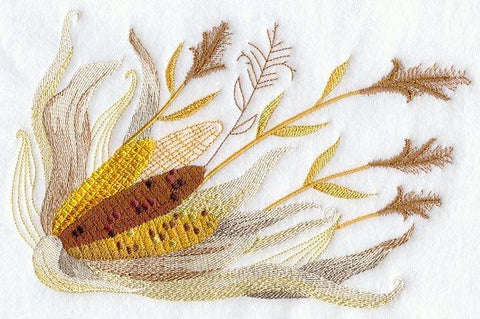 Corn Botanical