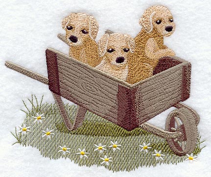 Country - Style Puppies