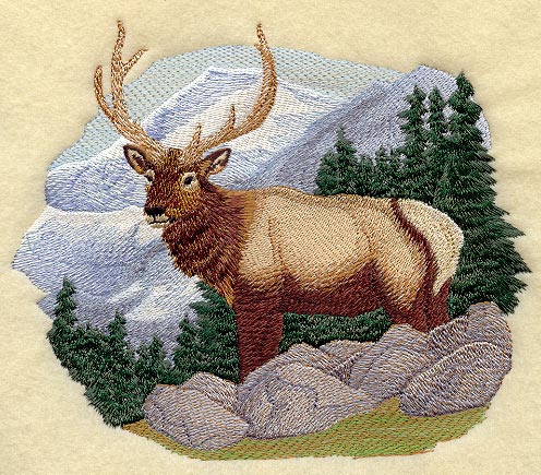 Elk & Mountain Scene