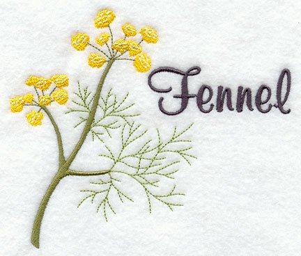 Fennel