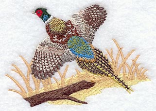 Flying Pheasant