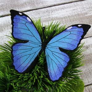 Free - Flying Giant Blue Morpho  (In-the-Hoop)