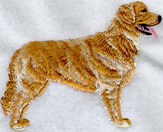 Golden Retreiver Full Body