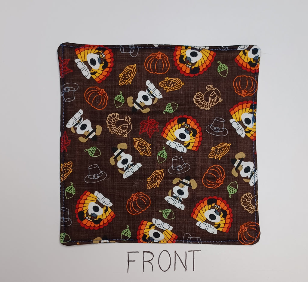 Hot Pad - Thanksgiving and Fireworks