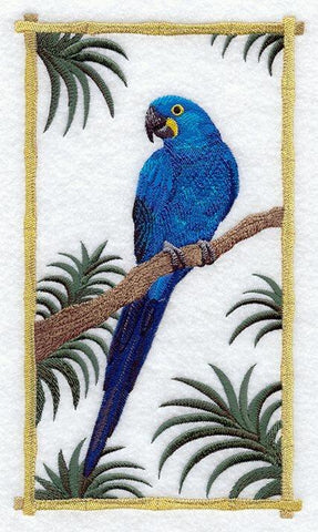 Hyacinth Macaw Panel