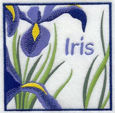 Iris Floral Square