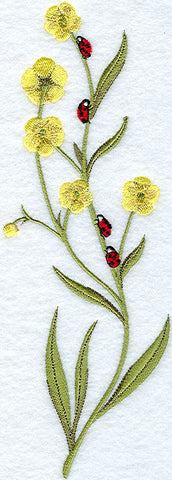 Ladybug Spring