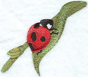Ladybug and Leaf