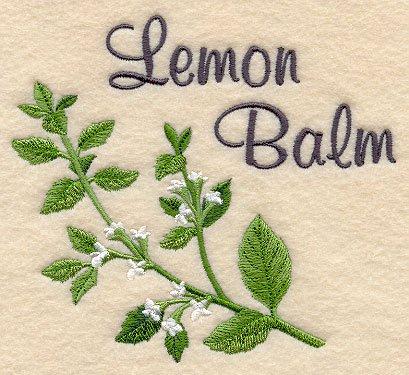 Lemon Balm