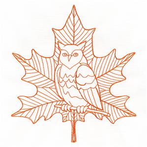 Majestic Owl Maple Leaf