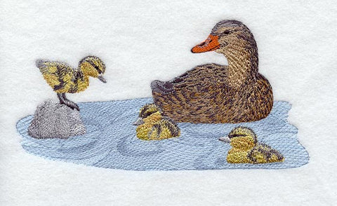 Mallard & Ducklings