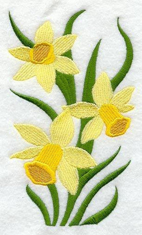 Narcissus Blooms