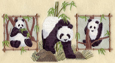 Panda Trio