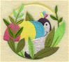 Peek - a - boo Toucan