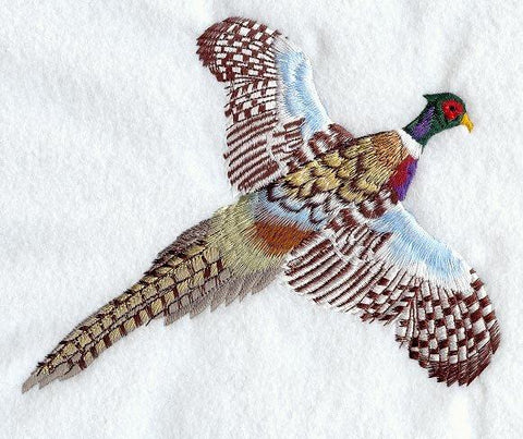 Pheasant