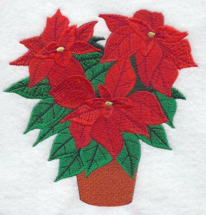 Potted Poinsettia