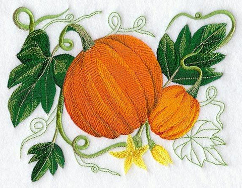 Pumpkin Botanical