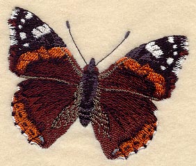 Red Admiral