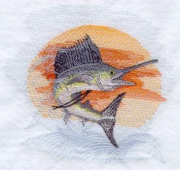 Sailfish