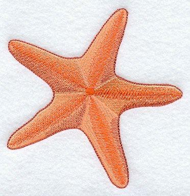 Sandy Beach Starfish