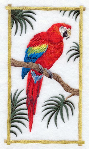 Scarlet Macaw Panel