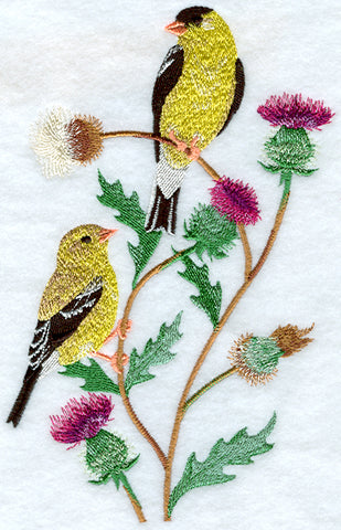 Seasonal Birds - Spring Goldfinches