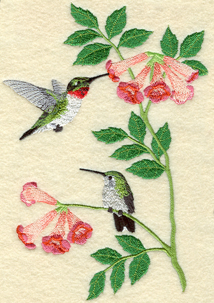 Seasonal Birds - Summer Hummingbirds