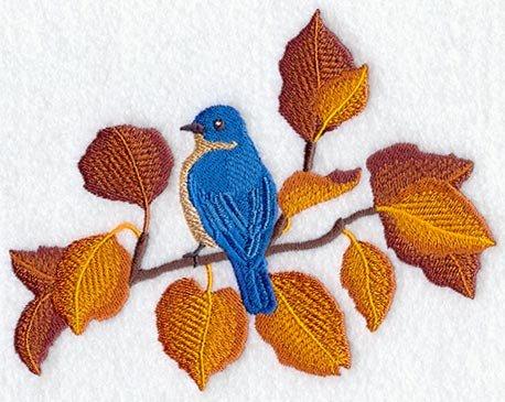 Seasons Bluebird - Autumn