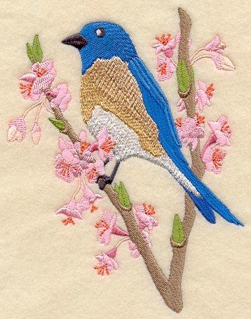 Seasons Bluebird - Spring