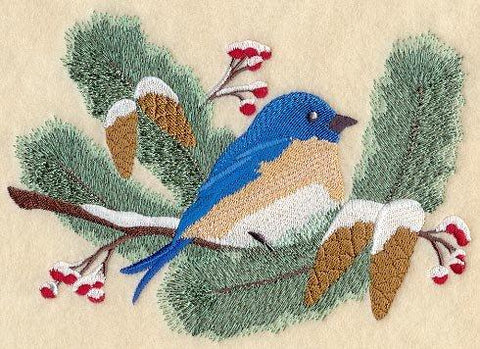 Seasons Bluebird - Winter