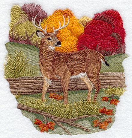 Seasons White Tail Deer - Autumn