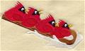 Sledding Cardinals