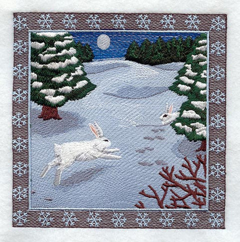 Snowshoe Hare Square