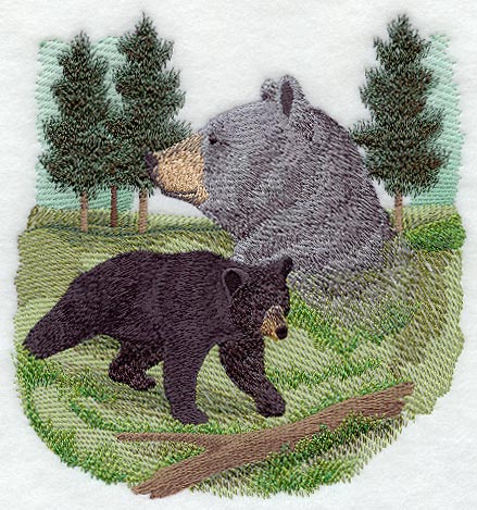 Spirit of the Bear