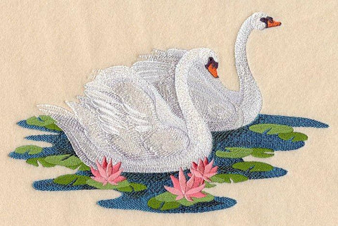 Swimming Swan Pair