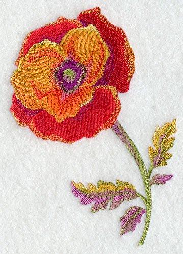 Watercolor Poppy