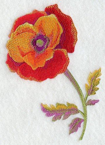 Watercolor Poppy