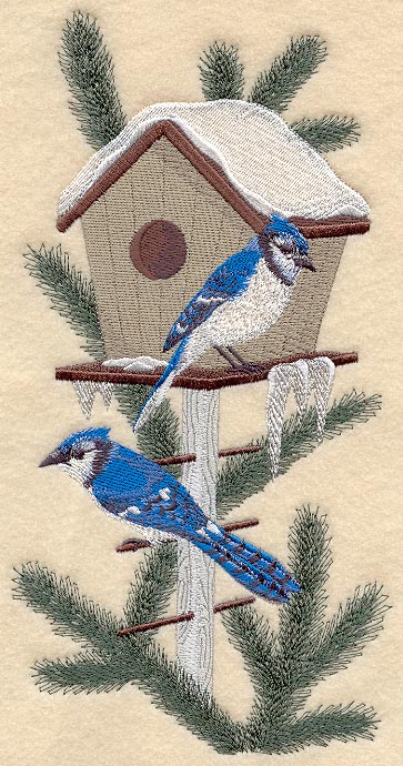 Winter Birdhouse with Blue Jays