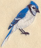 Winter Blue Jay